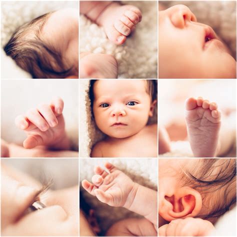 Newborn Baby Photos, Newborn Baby Photography, Newborn Pictures, Newborn Session, Baby Boy ...