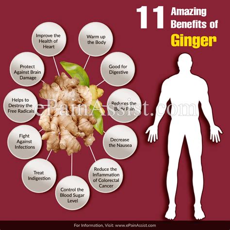 health benefits of ginger - Google Search in 2020 | Ginger benefits ...