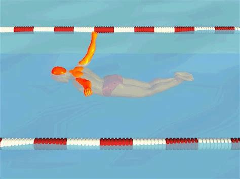 Swimmer's Butterfly Stroke Demonstrated | Britannica