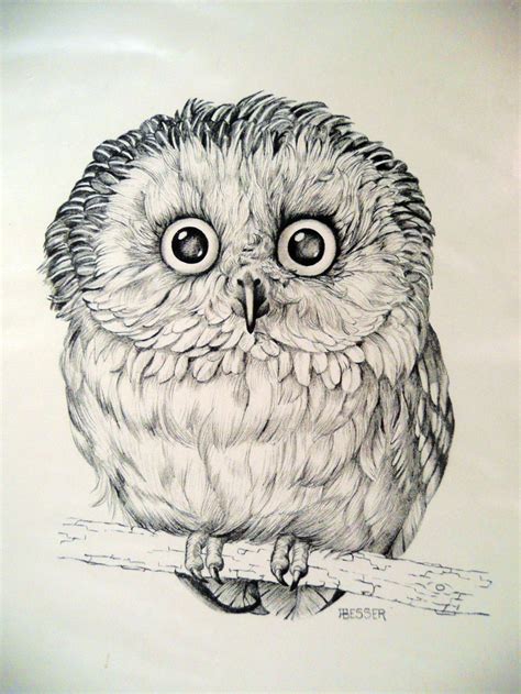 OWL - art PRINT - DRAWING by Besser - printed for Cunningham Art Products - 1971 Stapco - black ...