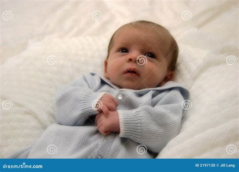 Baby Boy in Blue stock photo. Image of parents, babe, life - 2197130