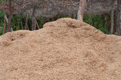 Rice Hulls For Garden Mulch | Fasci Garden