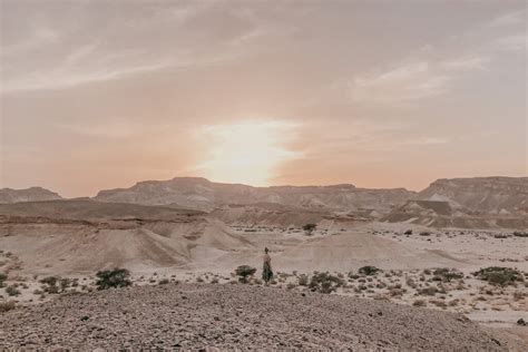 The call of the Negev Desert: the ultimate Israeli desert road trip ...