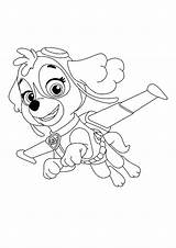 Skye From Paw Patrol Coloring Pages Printable sketch template