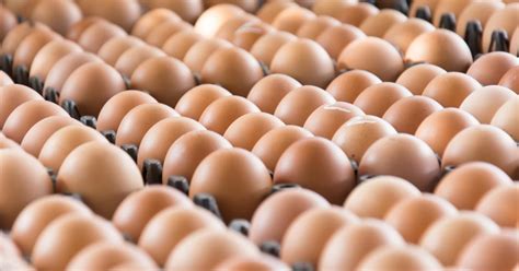 Salmonella: How to protect yourself from the recent outbreak in eggs