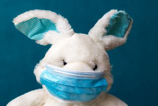 Bunny with face mask preventing Coronavirus from spreading… | Flickr