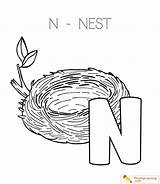 N Is For Nest Coloring Pages sketch template