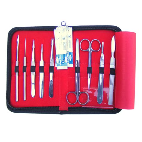 Dissecting Set DS10 - 1003771 - W11610 - Dissecting Kits - 3B Scientific