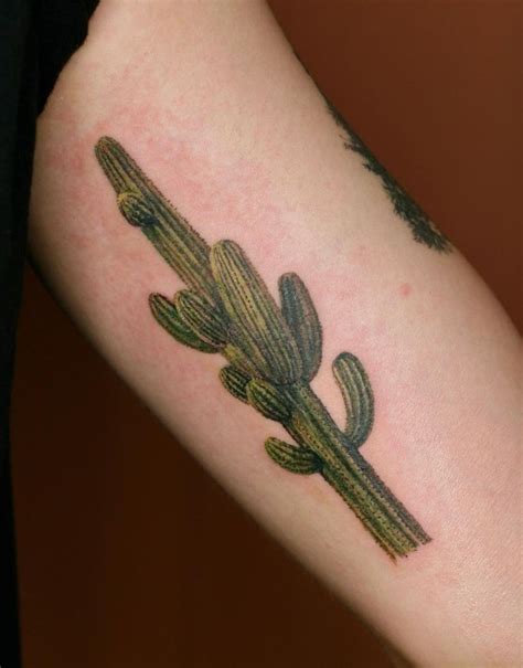 Cactus Tattoo Symbolism: A Guide To Their Meanings