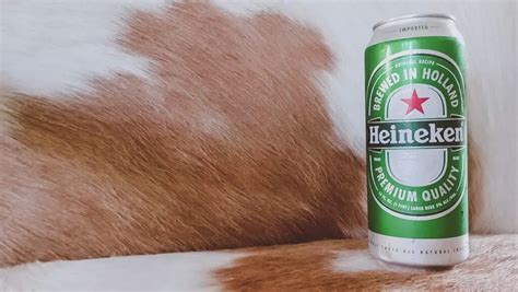 9 Best Tall Boy Beer Brands To Try in 2023