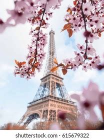 18,494 Paris spring flowers Images, Stock Photos & Vectors | Shutterstock