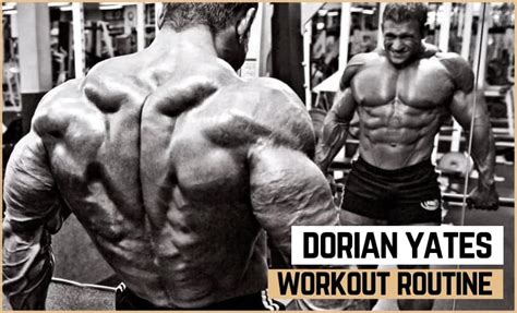 Dorian Yates' Workout Routinee & Diet (Updated 2024) - Jacked Gorilla