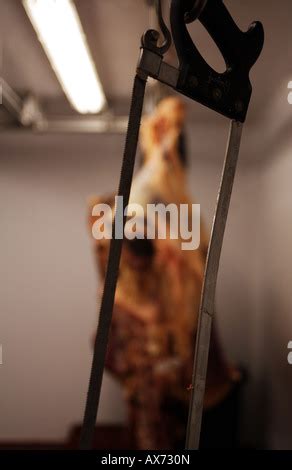 A butcher cutting a beef carcass in a butchers shop Stock Photo - Alamy