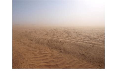 Example of wind erosion on farmed sand sheet near Wolfforth, Texas, 26 ...