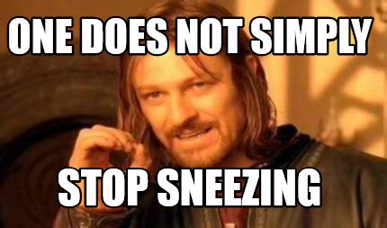 Meme Creator - Funny One does not simply stop sneezing Meme Generator ...