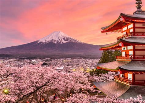 Japan Travel Tips: 9 Things I Wish I'd Known Before Going to Japan ...