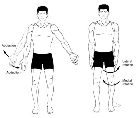 Anatomical Terminology - TeachMeAnatomy