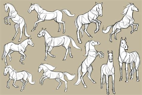 Pin by R Dover on Рисунки, наброски и т.д. | Horse drawings, Horse ...