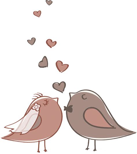 Download and share clipart about Casal De Passarinho Png - Cute Bird Vector Wedding, Find more ...