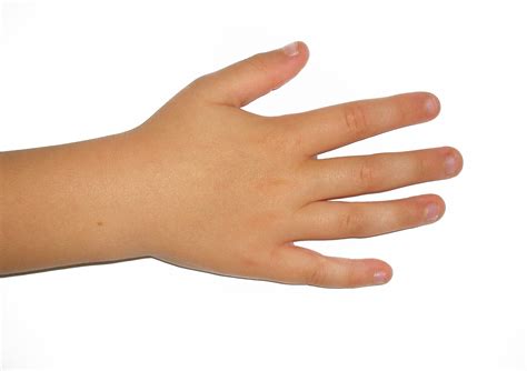 Gambar : jari, anak, manusia, lengan, kuku, kulit, kanan, adil, model ...