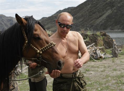 Vladimir Putin near brown horse during daytime HD wallpaper | Wallpaper ...