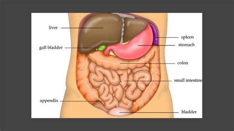 Acute Abdomen Symptoms and Management: