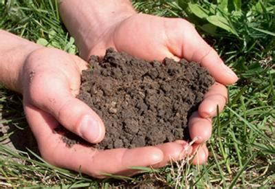 New soil testing event scheduled for Nov. 11 | Ozark Radio News