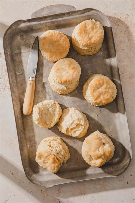 The Best Ever Vegan Biscuits | Peanut Butter Plus Chocolate