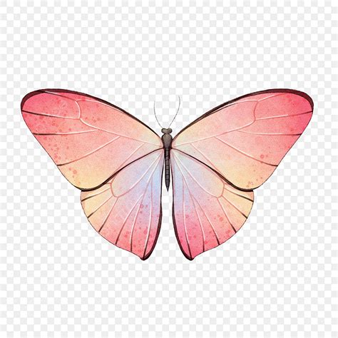 Watercolor Blooming Hd Transparent, Watercolor Blooming Pink Butterfly, Watercolor, Butterfly ...