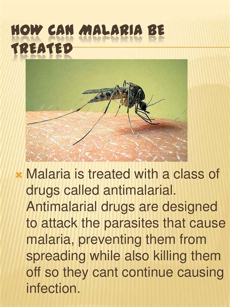 Malaria powerpoint