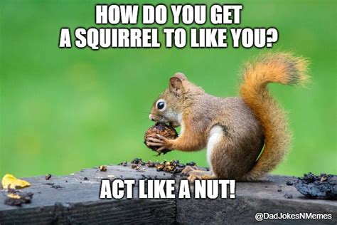 Sometimes you feel like a nut. - Imgflip