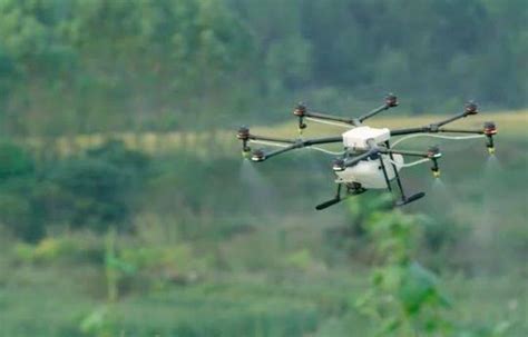 DKPP Probolinggo dan BPTP Jatim Gunakan Drone Semprot Hama