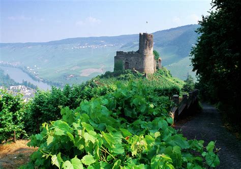 Landshut Castle In Bernkastel-kues Photograph by Panoramic Images ...