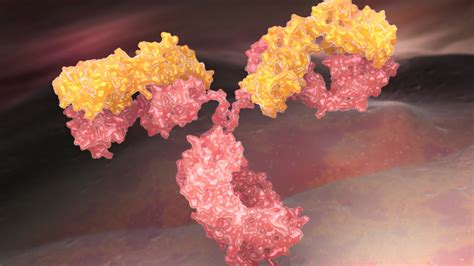 Cryo-EM Structure of the αIIbβ3-Abciximab Complex