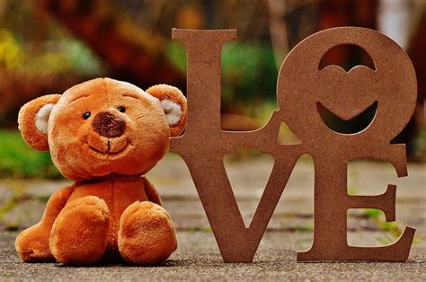 Free photo: Bear, Teddy, Love, Miss, Soft Toy - Free Image on Pixabay - 1272796