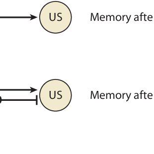 (PDF) Fear Extinction and Relapse: State of the Art