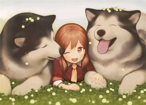 Download Anime Dog Alaskan Malamute Wallpaper | Wallpapers.com