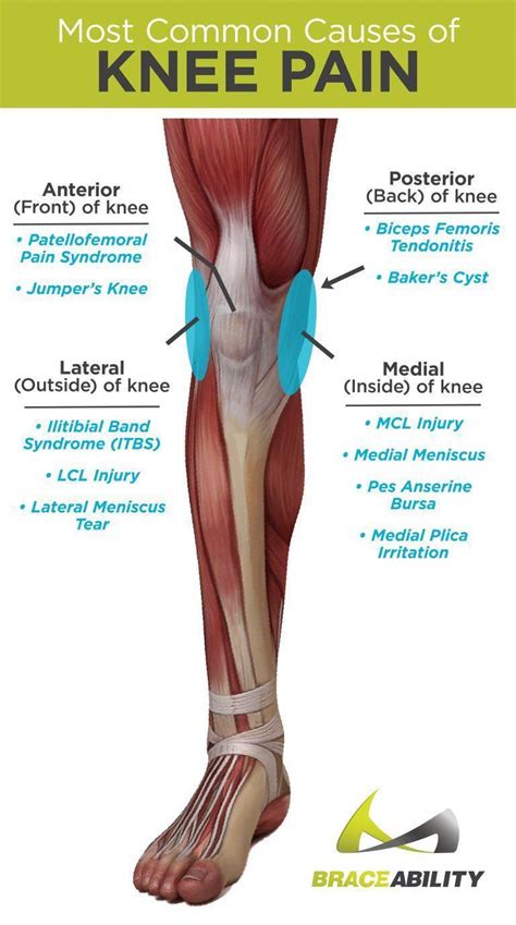 How To Treat A Pulled Tendon Behind The Knee - Margaret Greene Kapsels