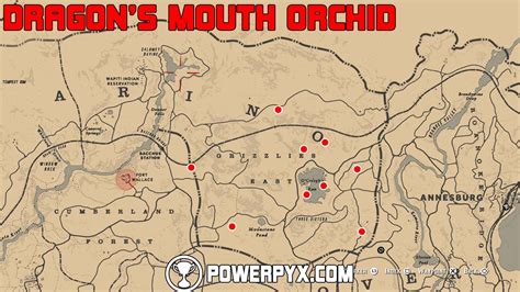 Red Dead Redemption 2 All Exotics Locations