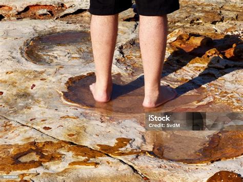 Broome Dinosaur Footprints Stock Photo - Download Image Now - Australia ...