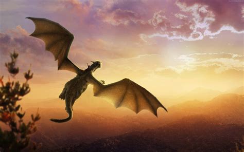 Download Gold Dragon Flying Wallpaper | Wallpapers.com