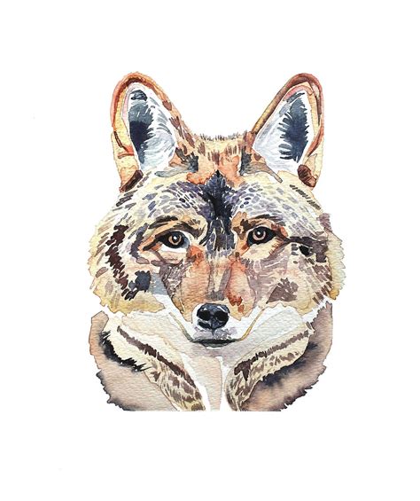 Coyote | Original watercolor painting, Watercolor paintings, Original ...