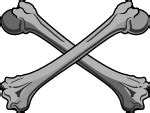 Bones Vector Clip Art Free Vector Download | FreeImages