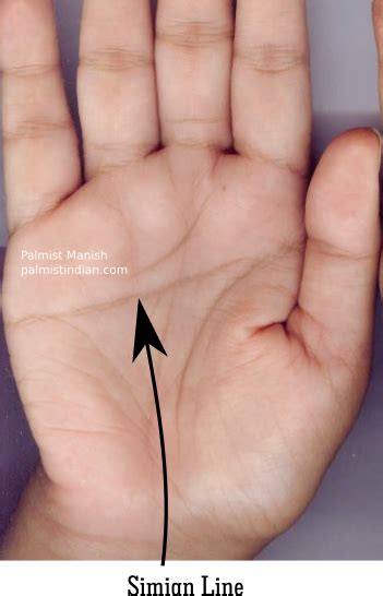 Simian Line In Palmistry - Comparison analysis - Palmist Manish