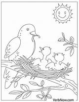 Free BIRD Coloring Pages For Download Printable PDF sketch template