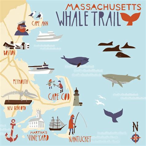 Whale Watching Massachusetts | Whale Watching MA | Whale Watching Mass