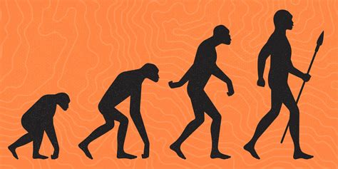 Dear Science: Why aren’t apes evolving into humans? - The Washington Post