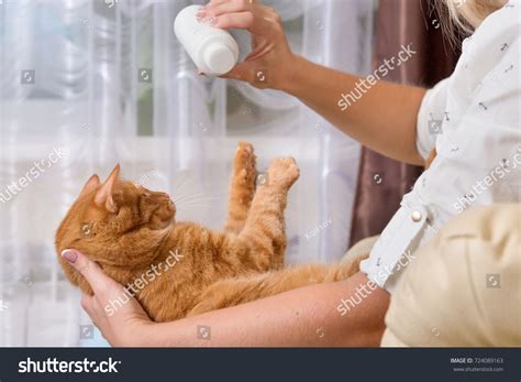 207 Cat Dry Shampoo Images, Stock Photos & Vectors | Shutterstock