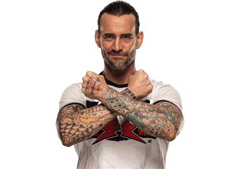 CM Punk: Profile, Career Stats, Face/Heel Turns, Titles Won & Gimmicks ...