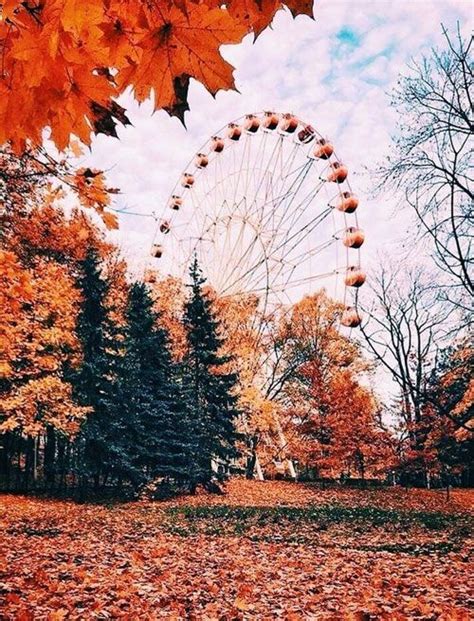 autumn aesthetic wallpaper, autumn aesthetic background, autumn ...